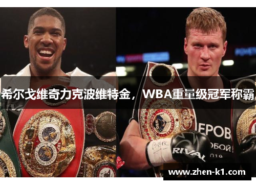 希尔戈维奇力克波维特金,WBA重量级冠军称霸 希尔戈维奇力克波维特金,WBA重量级冠军称霸